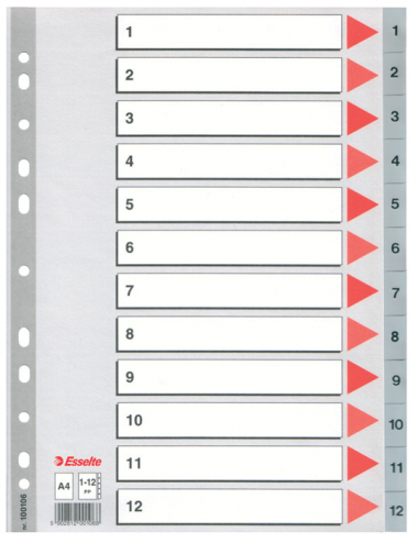 Rozdružovač A4 plastový šedý Esselte - 1 - 12