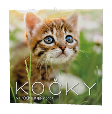 Kalendář nástěnný poznámkový - Kočky / BNL1