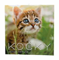 Kalendář nástěnný poznámkový - Kočky / BNL1