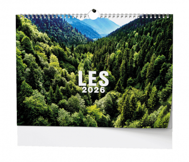 Kalendář nástěnný Les / BNK22
