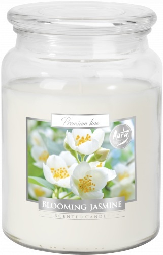 Vonná svíčka v dóze Maxi - Blooming jasmine