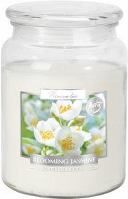 Vonná svíčka v dóze Maxi - Blooming jasmine