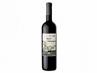 Merlot del Veneto „ Corte Pitora ” Igt 2022 0,75l