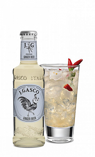 SKLO J.Gasco GINGER BEER   0%0.20l