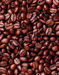 Káva Afrika zrno 1kg