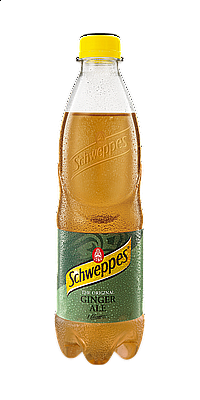 Schweppes 0,5l PET Ginger Tonic