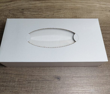Papírové kapesníčky 2vrstvé 100ks box obdelník