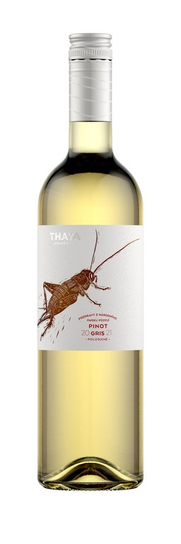 Pinot Gris pozdní sběr 2021