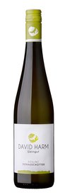 Riesling Donauschotter 2021 BIO Kremstal DAC