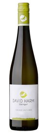 Grüner Veltliner Ried Kremsel Kogl 2020